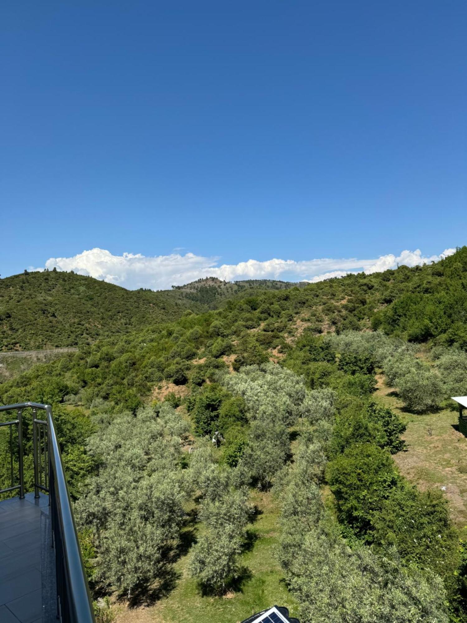 Qyteza Guest House & Camping Shkoder Exterior photo